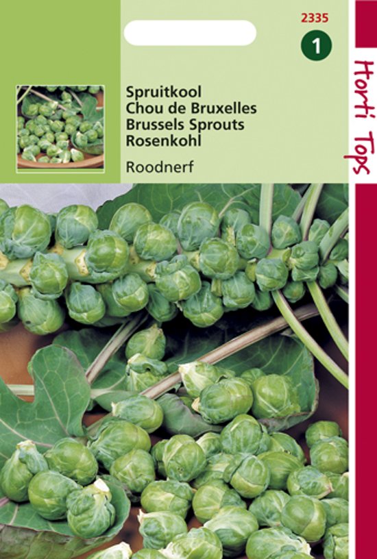 Spruitkool Roodnerf (Brassica oleracea) 600 zaden HT